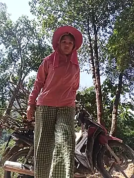 hoa_mai webcam