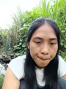 Hoa-tuylip webcam