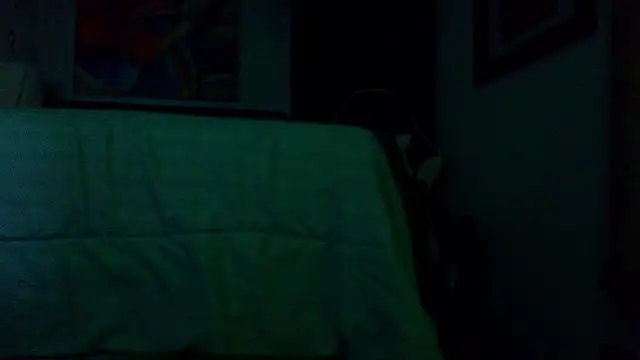 the_dog_lian webcam