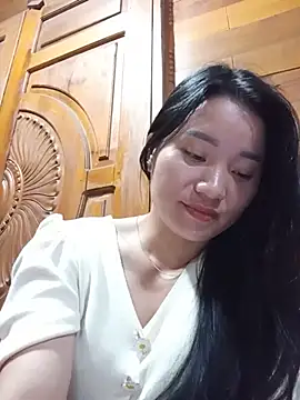Td3di webcam