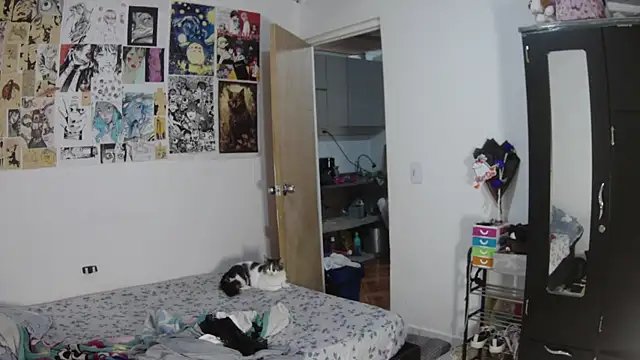 SAT--SU_U webcam