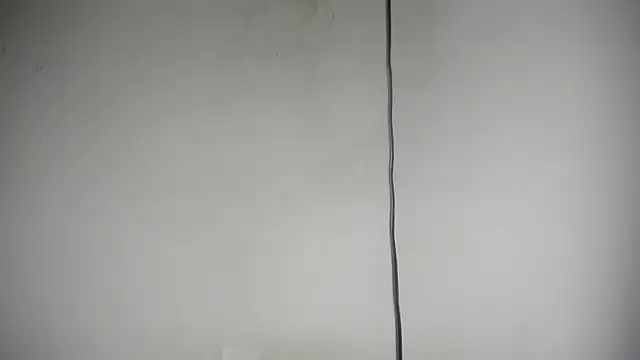 Fox_Loves webcam