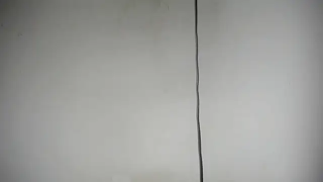 Fox_Loves webcam