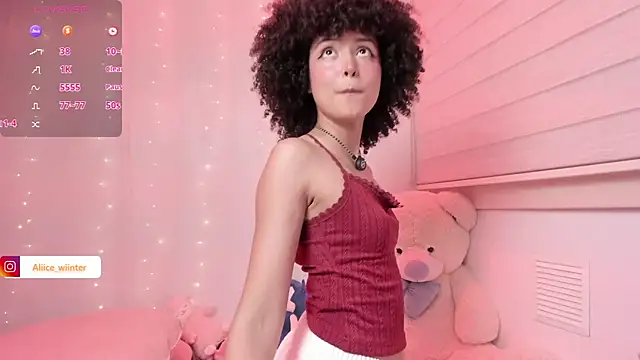 Alice_winter_ webcam