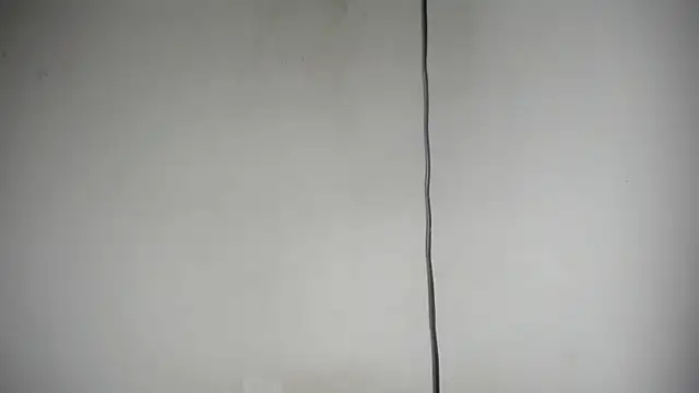 Fox_Loves webcam