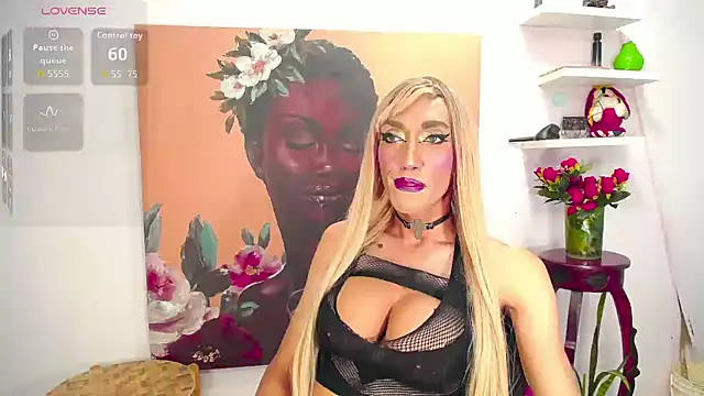 karlaveckyts webcam