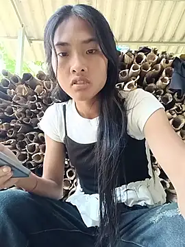 Hoa-tuylip webcam
