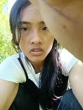 Hoa-tuylip webcam