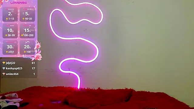 sloppy_cat webcam
