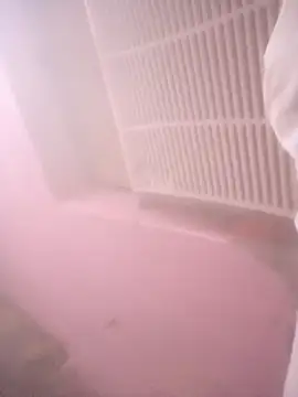 TINASONI webcam