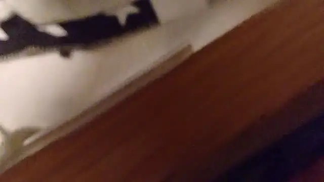 Tyyson03 webcam