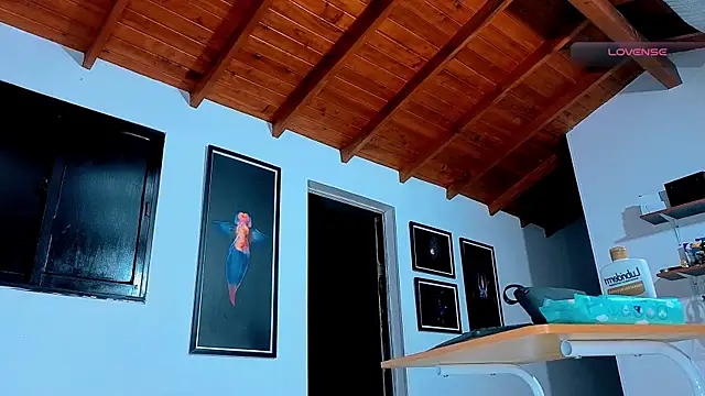 SilvaBranko webcam