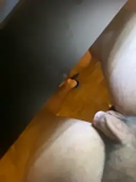 pepsi99p live cam on StripChat