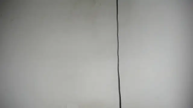 Fox_Loves webcam