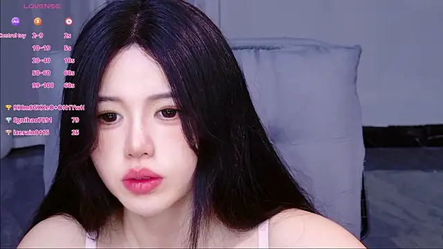xiaoxun520 webcam