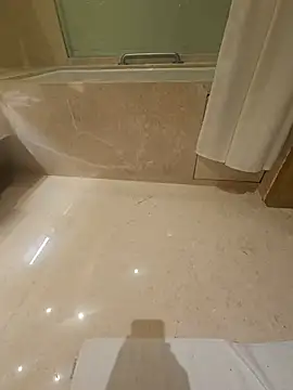 Gamecoc webcam