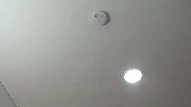 ViviJones webcam