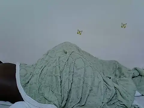 berrynova webcam