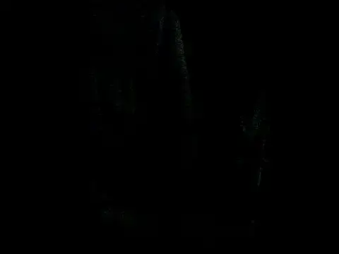 latinound webcam