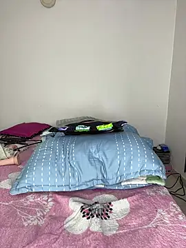 sandylau webcam