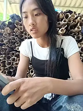 Hoa-tuylip webcam