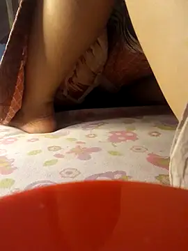 -Tara-a webcam