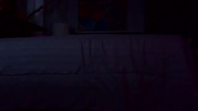 the_dog_lian webcam
