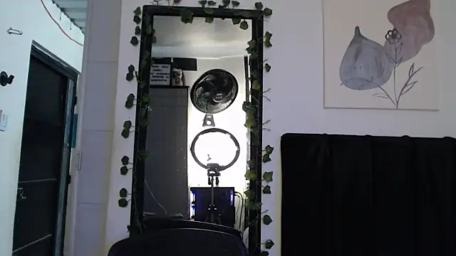 Alezapark webcam