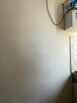 LuxeAura webcam