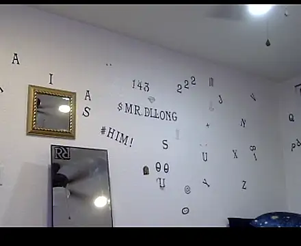 TheRealMrDLlong webcam
