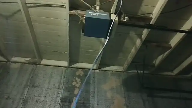Leo99842 webcam