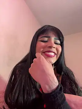 -Brittanny webcam