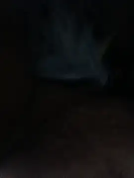 blackjack295 webcam