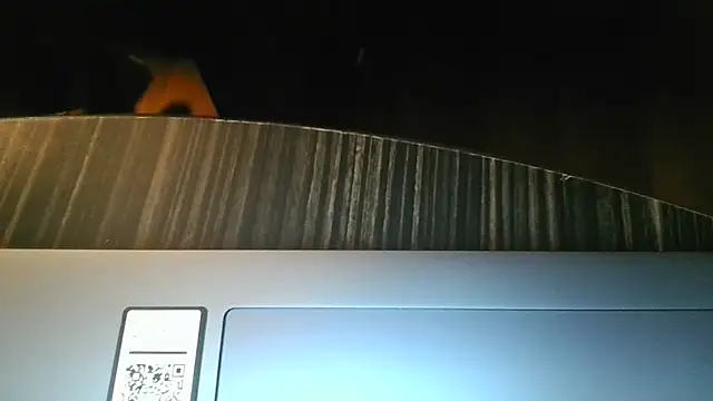 the_real_addix269 (Ask my age) - #american #anal #big-cocks #blondes #cam2cam #cheapest-privates #daddies #deepthroat #dirty-talk #double-penetration #ejaculation #flashing #hairy #hd #masturbation #medium #office #oil-show #selfsucking #sexting #shower #small-audience #smoking #straight #student #white