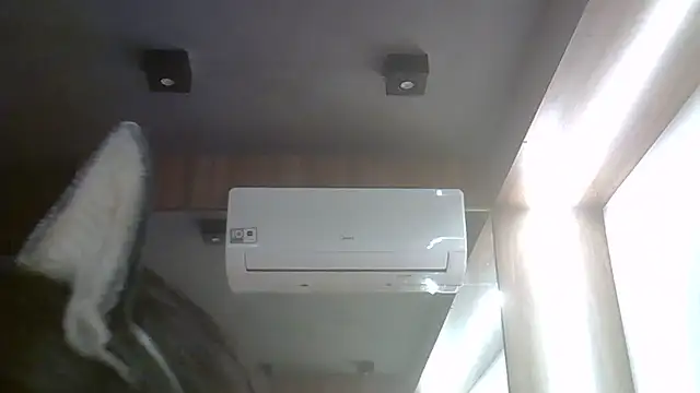 SkinnyKitten webcam