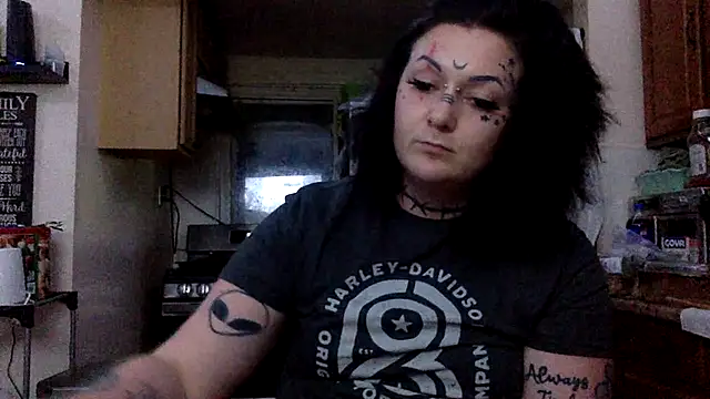 CurvyTrans2002 webcam