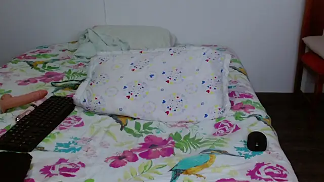 arianna_ros3 webcam
