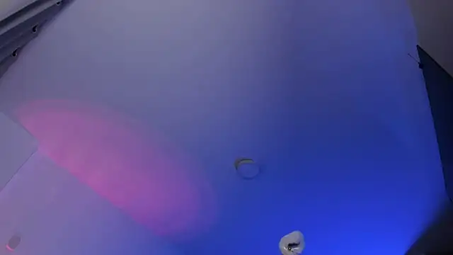 tellmemaddie webcam