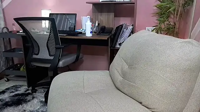 Pineappleflipped webcam