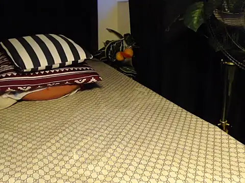 prittyprincessa webcam