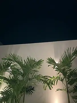 Nikii__ webcam
