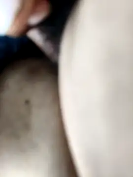 faceless_rocky webcam