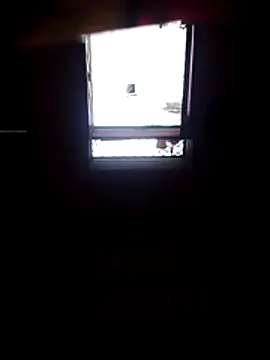 HotRavitapal webcam