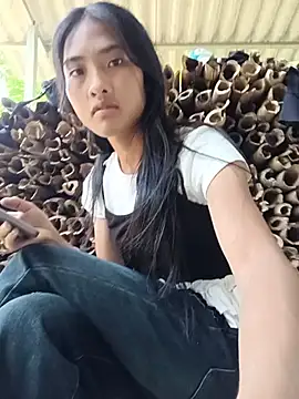 Hoa-tuylip webcam