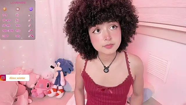 Alice_winter_ webcam
