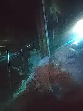 BulbasaurIsmettv webcam