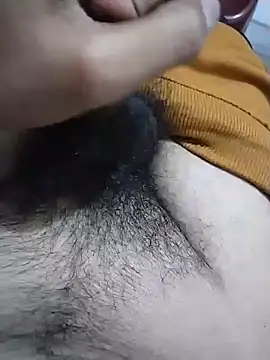 Ayush_sexyy08 webcam