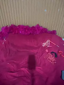 Arielbrasil webcam