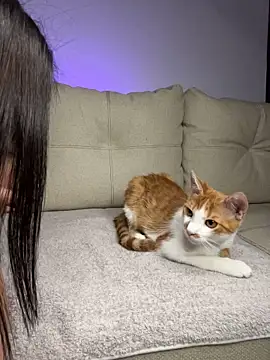 abby1nicolette webcam
