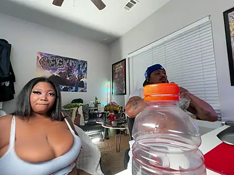 4EVAGLACIERS webcam